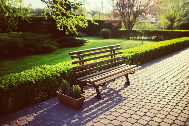 Create Welcoming Green Spaces for Your Team