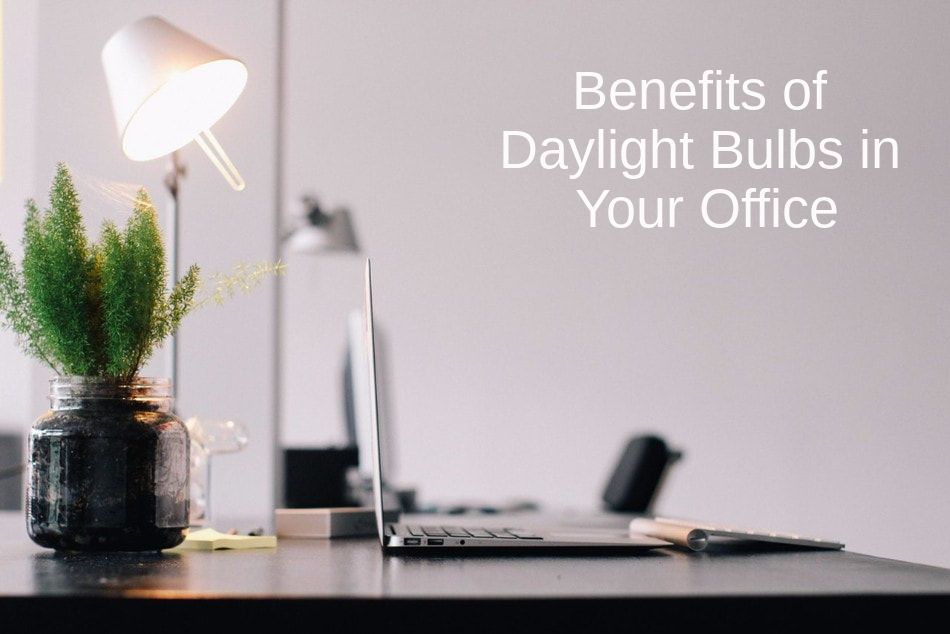 Benefits of Daylight Bulbs